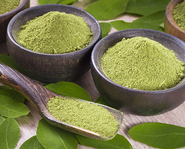 草藥粉碎混合生產(chǎn)線